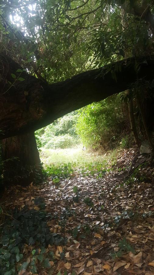 Costa Villa Atlantida Bagian luar foto